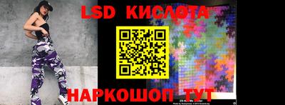прущие грибы Гудермес