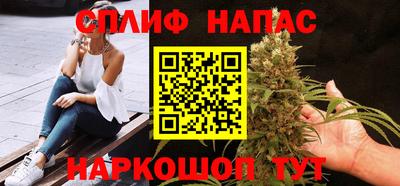прущие грибы Гудермес