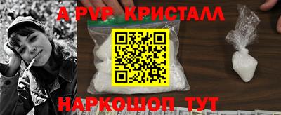 прущие грибы Гудермес
