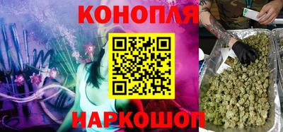 прущие грибы Гудермес
