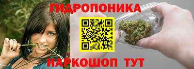 прущие грибы Гудермес
