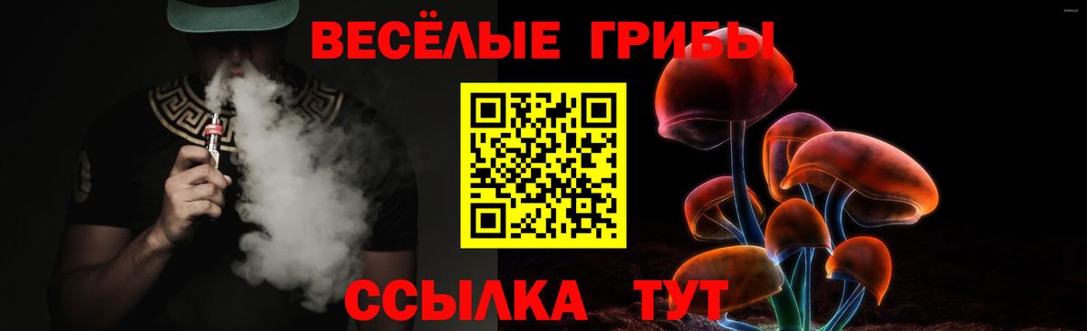 Галлюциногенные грибы ЛСД Березники
